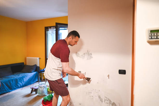 Best Mold Damage Repair  in Baltic, CT